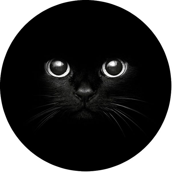 Capa Personalizada para Estepe Ecosport Crossfox Felino Gato Preto