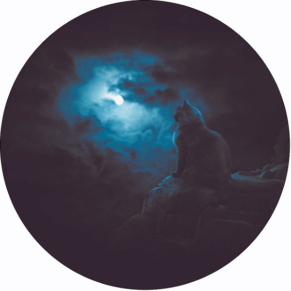 Capa Personalizada para Estepe Ecosport Crossfox Felino Gato e Lua