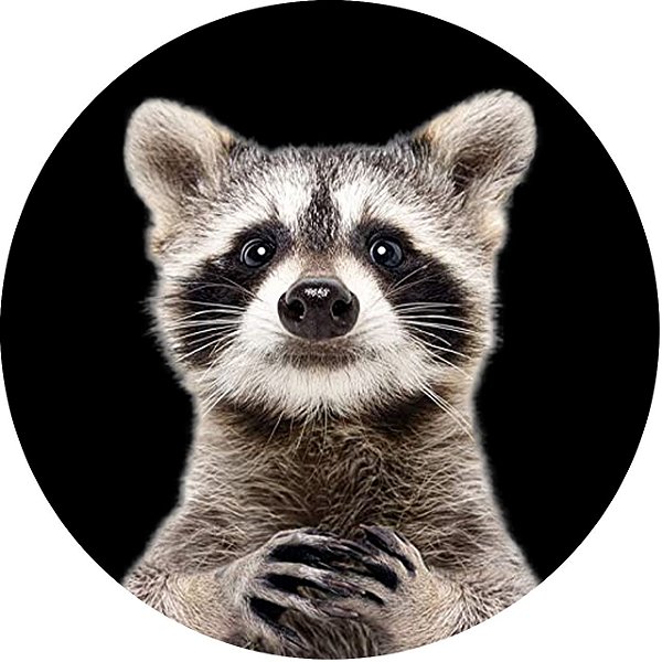 Capa Personalizada para Estepe Ecosport Crossfox Raccoon