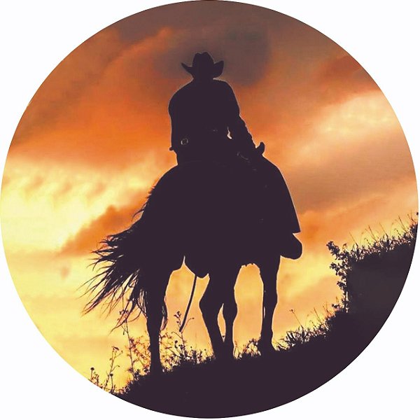 Capa Personalizada para Estepe Ecosport Crossfox Cowboy 3