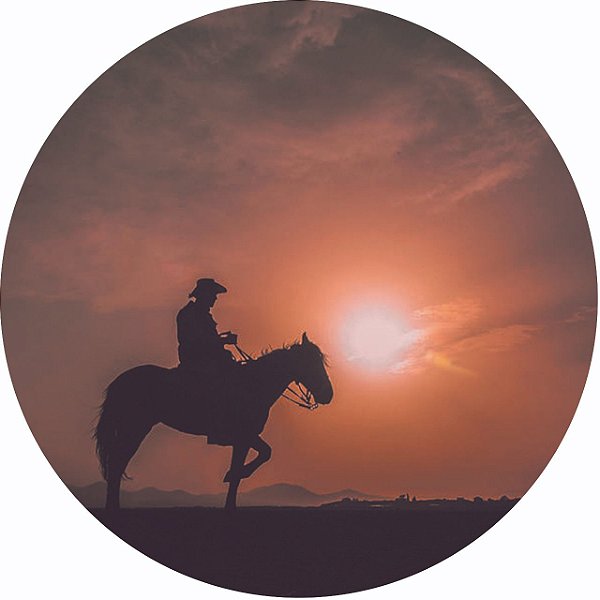 Capa Personalizada para Estepe Ecosport Crossfox Cowboy 6