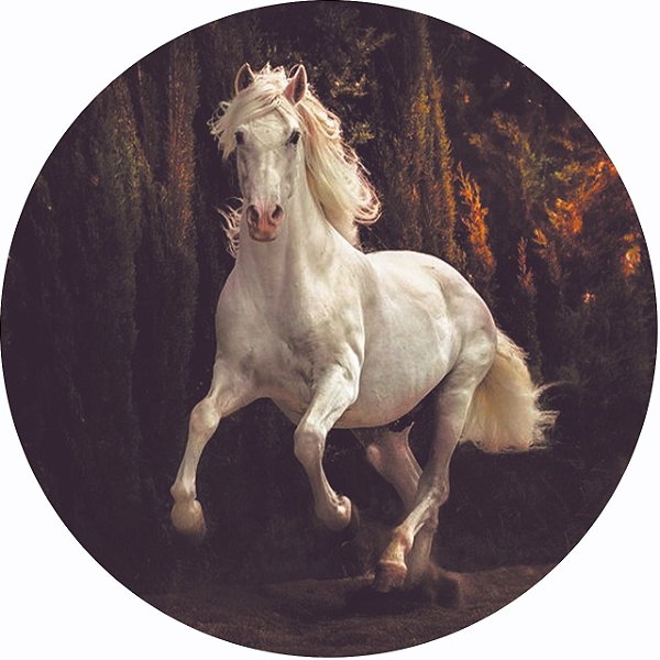 Capa Personalizada para Estepe Ecosport Crossfox Cavalo Branco