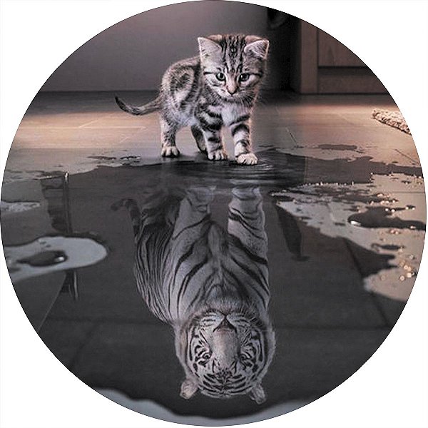 Capa de Estepe Personalizada para Ecosport Crossfox Gato Tigre