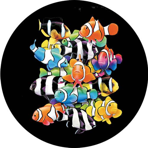 Capa Personalizada para Estepe Ecosport Crossfox Aircross Peixe-Palhaço 2