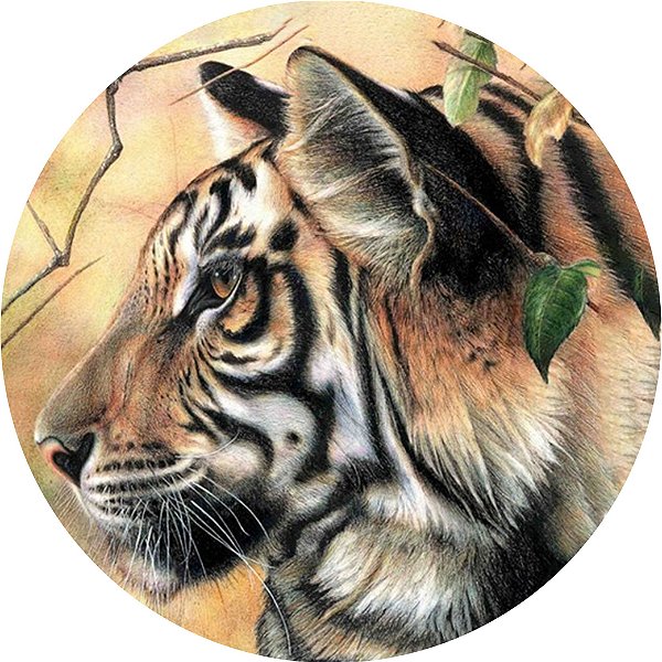 Capa Personalizada para Estepe Ecosport Crossfox Aircross Tigre de Bengala