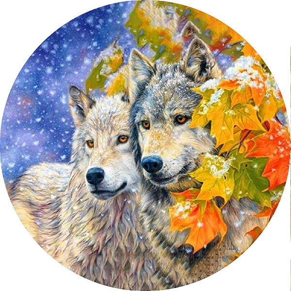 Capa Personalizada para Estepe Ecosport Crossfox Casal de Lobos