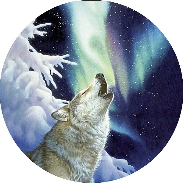 Capa Personalizada para Estepe Ecosport Crossfox Aircross Lobo na Neve