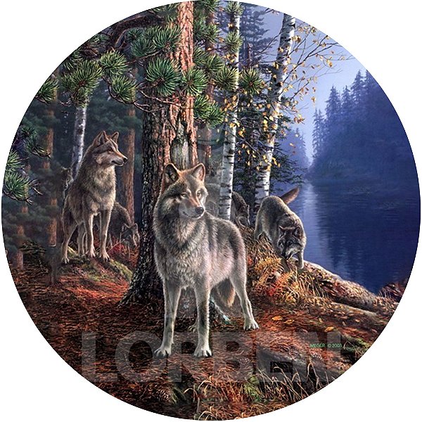 Capa Personalizada para Estepe Ecosport Crossfox Lobo Floresta