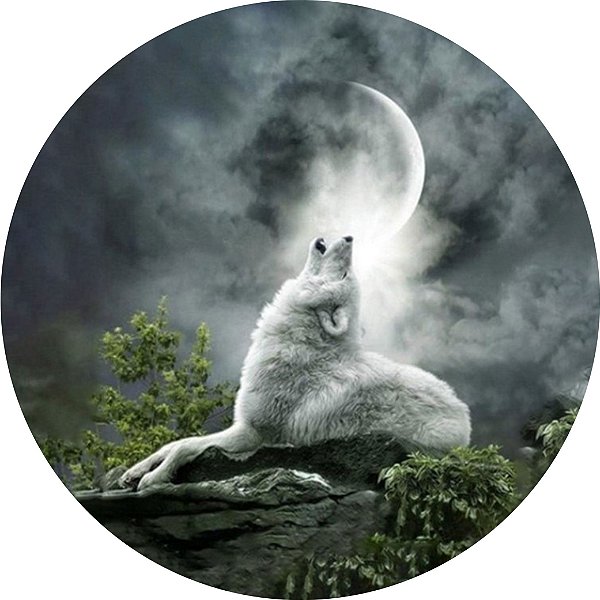 Capa Personalizada para Estepe Ecosport Crossfox Lobo ao Luar