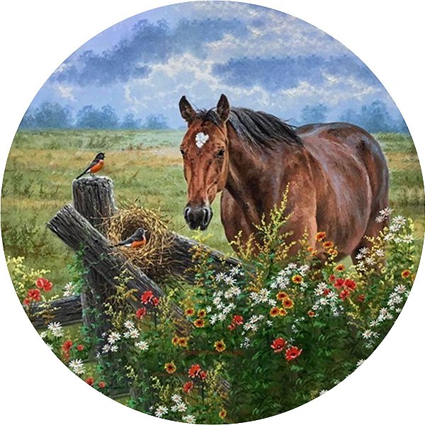 Capa de Estepe Personalizada para Ecosport Crossfox Cavalo no Campo
