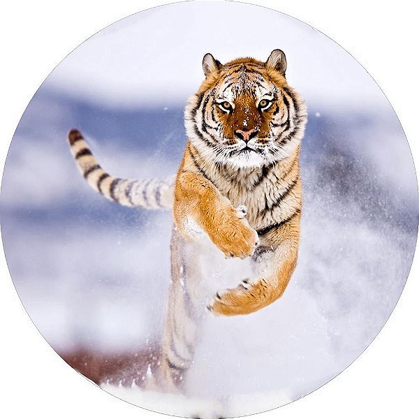 Capa Personalizada para Estepe Ecosport Crossfox Tigre
