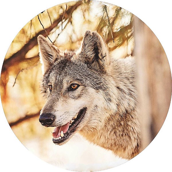 Capa Personalizada para Estepe Ecosport Crossfox Lobo Selvagem