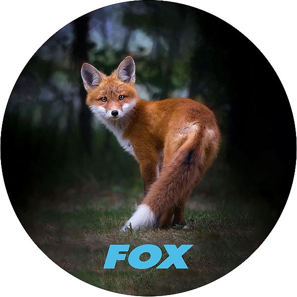 Capa para Estepe Pneu Personalizada Especial Crossfox Fox 9