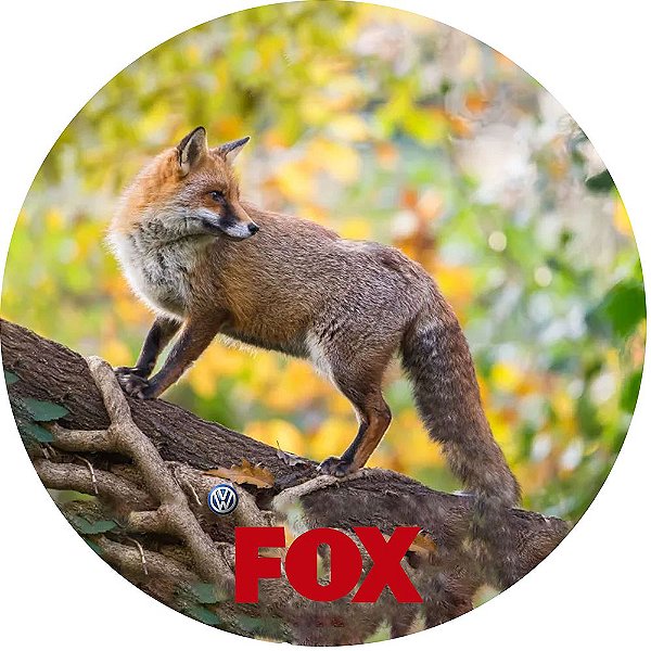 Capa para Estepe Pneu Personalizada Especial Crossfox Fox 10