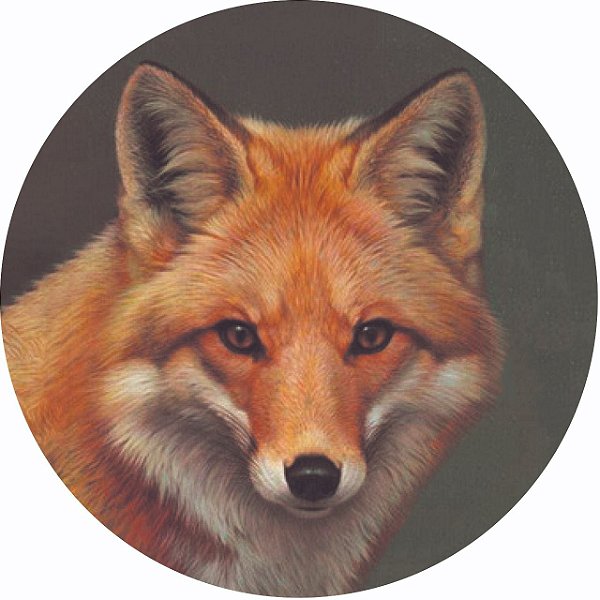 Capa para Estepe Pneu Personalizada Especial Crossfox Fox Raposa 1
