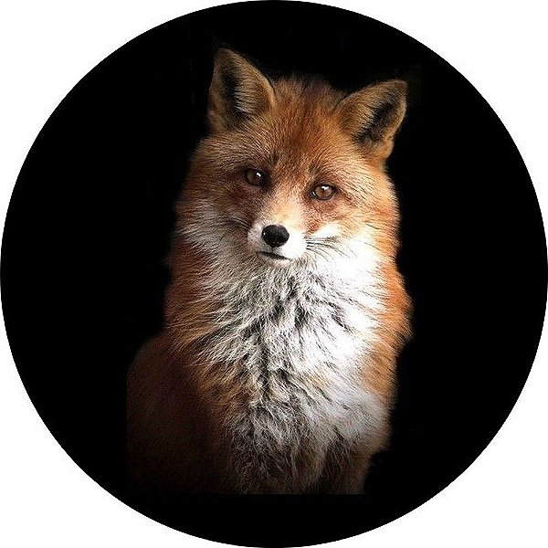 Capa para Estepe Pneu Personalizada Especial Crossfox Fox Raposa 3