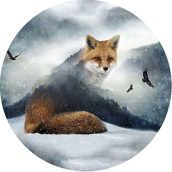 Capa para Estepe Pneu Personalizada Especial Crossfox Fox Raposa 4
