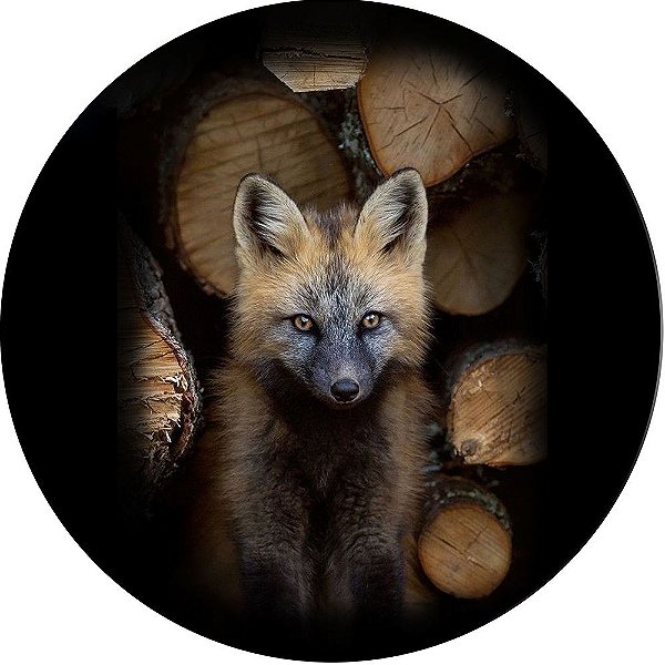 Capa para Estepe Pneu Personalizada Especial Crossfox Fox Raposa 7