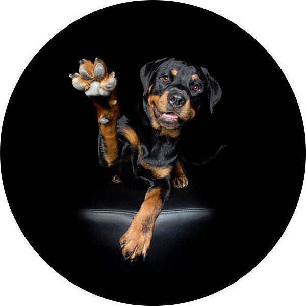 Capa Personalizada para Estepe Ecosport Crossfox Rottweiler 2