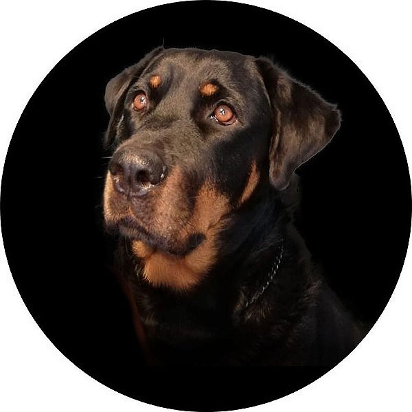 Capa Personalizada para Estepe Ecosport Crossfox Rottweiler Maya