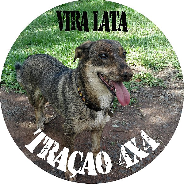 Capa Personalizada para Estepe Ecosport Crossfox Vira-Lata 5