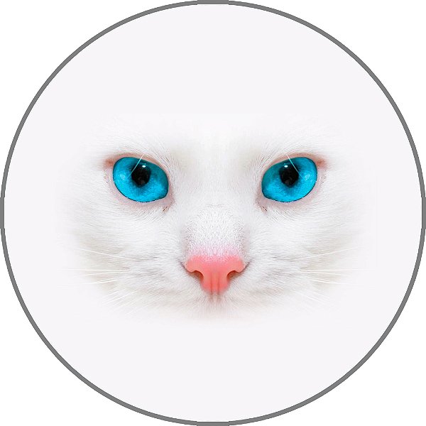Capa Personalizada para Estepe Ecosport Crossfox Felino Gato Branco