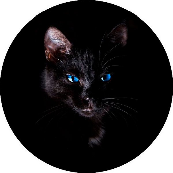 Capa Personalizada para Estepe Ecosport Crossfox Felino Gato Preto Olhos Azuis