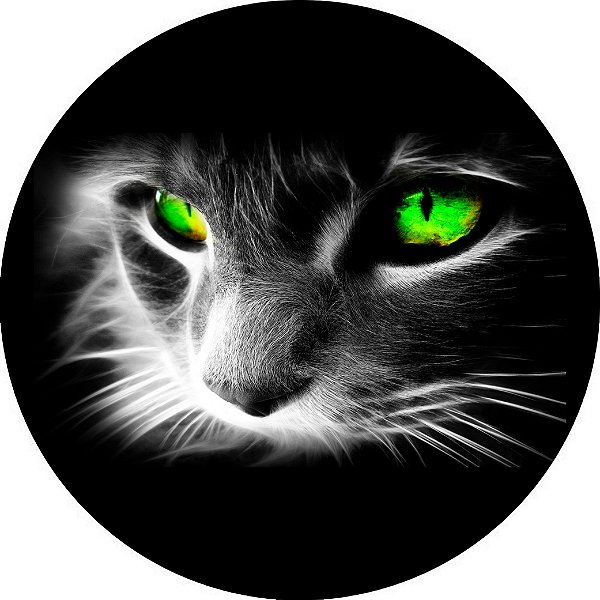 Capa Personalizada para Estepe Ecosport Crossfox Felino Gato