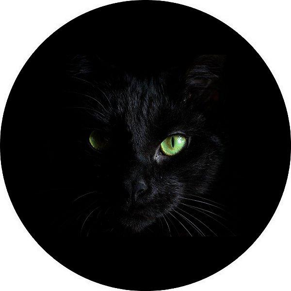 Capa Personalizada para Estepe Ecosport Crossfox Felino Gato Preto