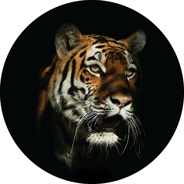 Capa Personalizada para Estepe Ecosport Crossfox Tigre