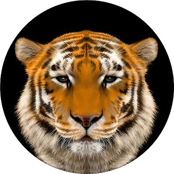 Capa Personalizada para Estepe Ecosport Crossfox Tigre