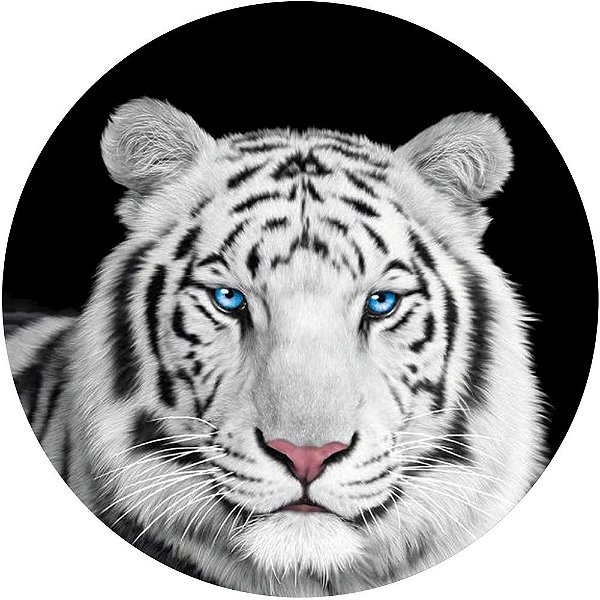 Capa de Estepe Personalizada para Ecosport Crossfox Tigre Olhos Azuis
