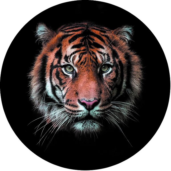 Capa Personalizada para Estepe Ecosport Crossfox Tigre