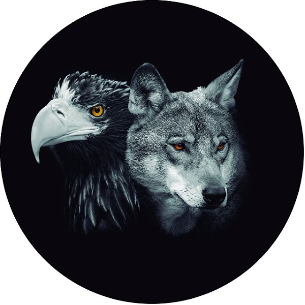 Capa Personalizada para Estepe Ecosport Crossfox Estampa Lobo e Águia PB