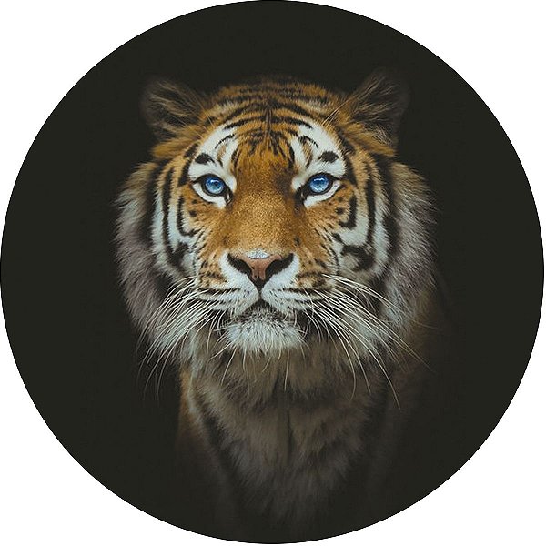 Capa de Estepe Personalizada para Ecosport Crossfox Estampa Tigre