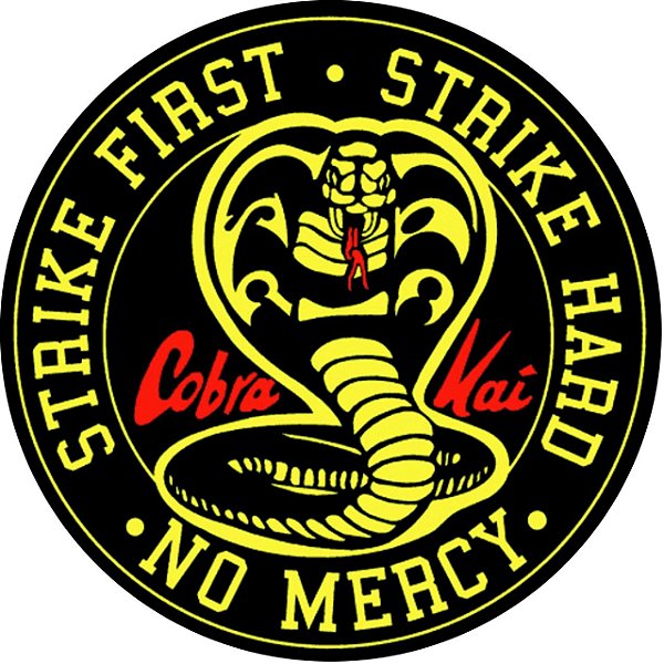 Capa Personalizada para Estepe Ecosport Crossfox Aircross Cobra Kai