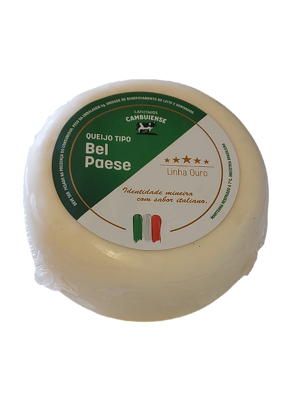 Queijo Bel Paese - 450 gramas