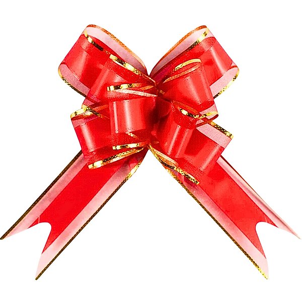 100 Laços Fácil 50mm Organza com Poliéster e Filete Dourado 0096