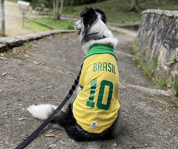 Camisa do Brasil para Cachorro ou Gato, para Pets