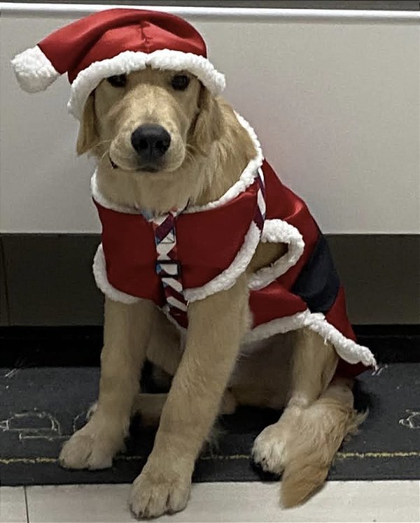 Roupa de Natal - kit com gorro