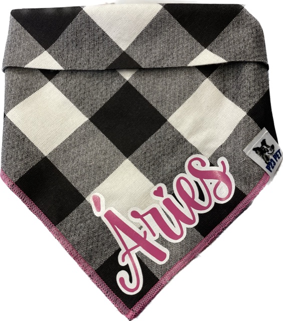 Bandana com Nome Personalizado - ROSA