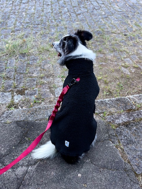 Casaco Carneirinho - Preto