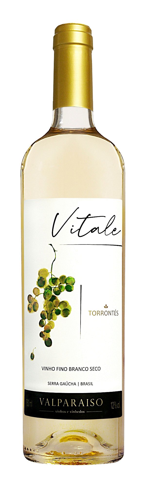 Vinho Torrontès Valparaiso 750ml