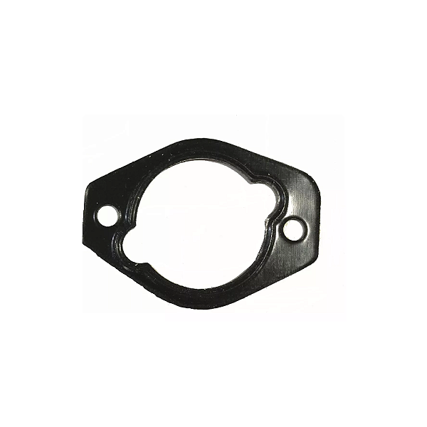 Chapa de Vedação Bomba Rotativa 1461074339