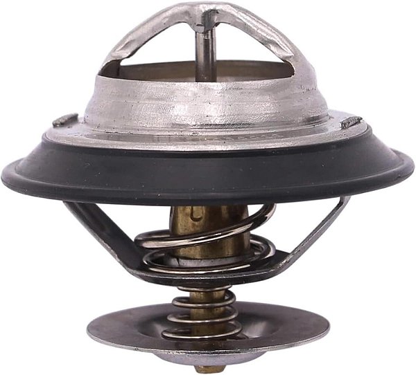 Válvula Termostática ISC 4936026