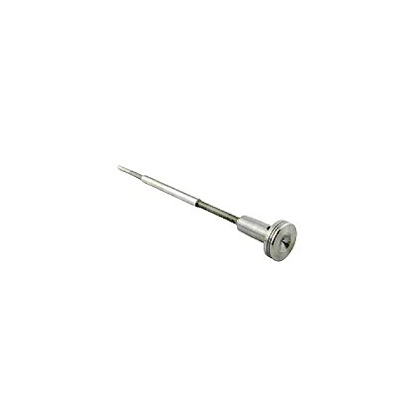 Bastão do Common Rail F00RJ01451