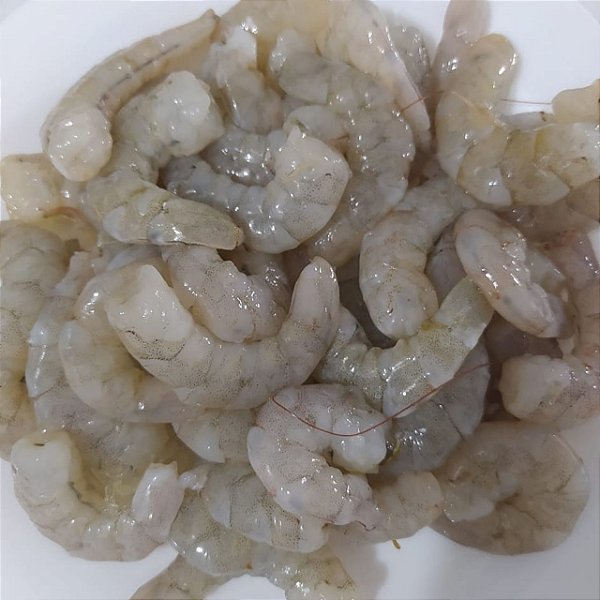 COMBO FILÉ DE CAMARÃO FRESCO (M) 2Kg - Camarão Fortaleza | Loja Online