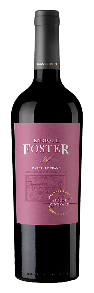 Enrique Foster Single Vineyar Cabernet Franc 750 ml