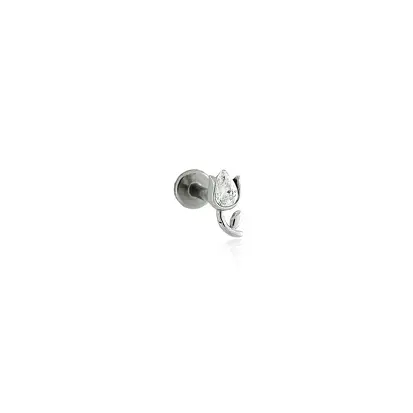 Piercing tulipa