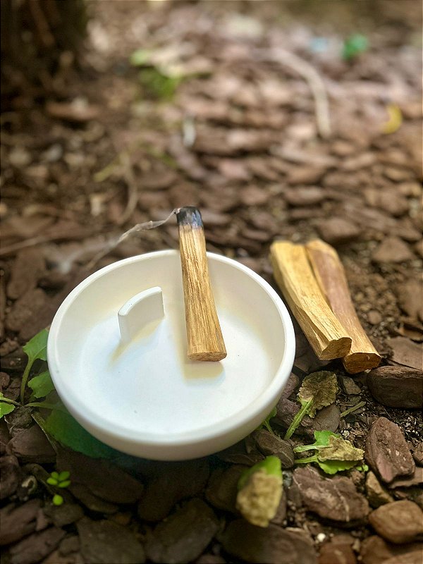 Porta Palo Santo de Gesso